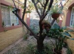 IMG_20250531_100006